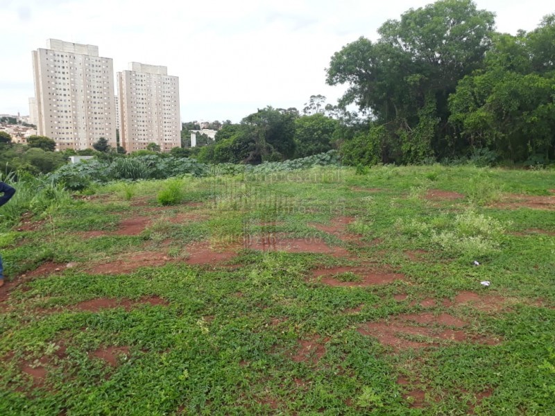 Terreno para alugar, 2000m² - Foto 3