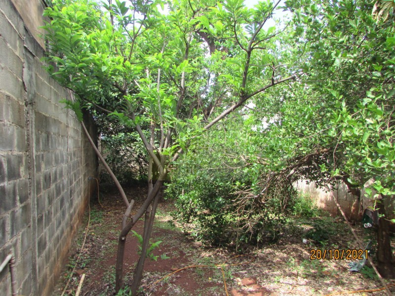 Terreno à venda com 1 quarto, 332m² - Foto 5