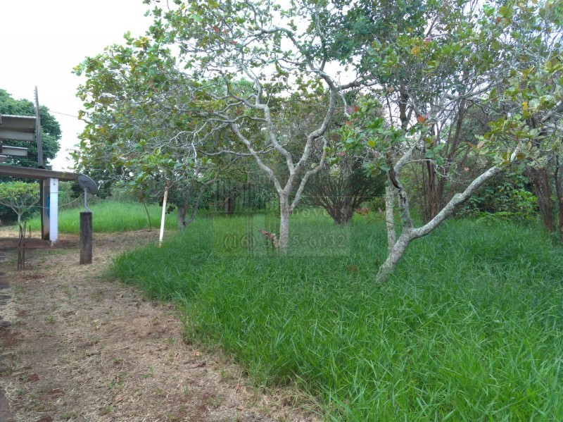 Fazenda à venda com 2 quartos, 10000m² - Foto 6