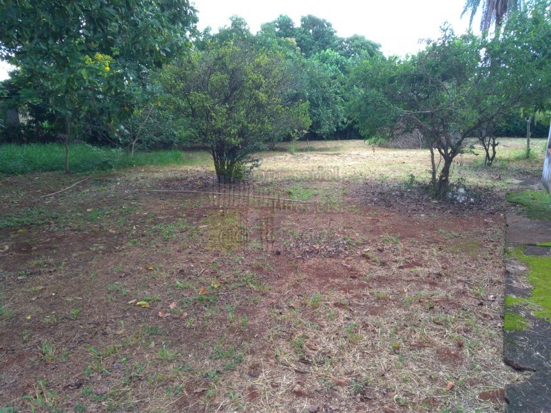 Fazenda à venda com 2 quartos, 10000m² - Foto 3